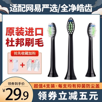The toothbrush head is suitable for NetEase to strictly select the full net Hao tooth electric toothbrush replacement toothbrush head Universal