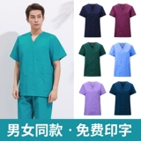 Униформа врача, летний тонкий лонгслив, ветеринарная клиника, комбинезон