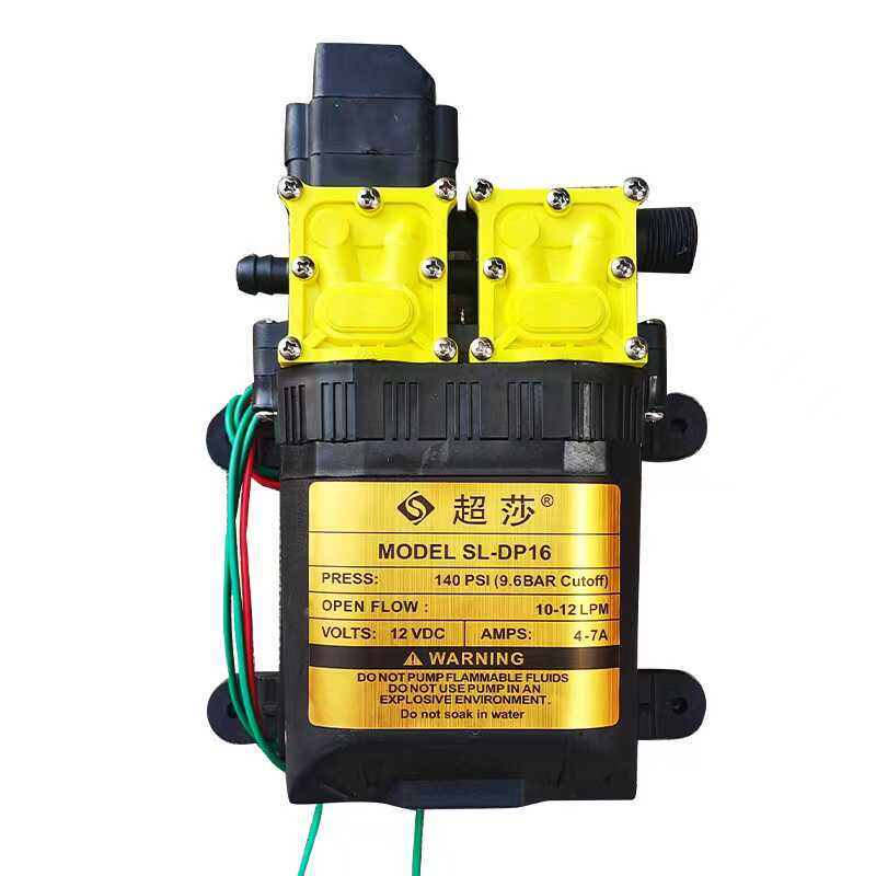 Electric Agricultural Sprayer, High-Pressure Dual-Pump Dual-Core Power Smart Dual-Pump Water Pump, Vegetable Garden and Fruit Tree Watering Pump