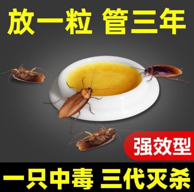 Insect repellent artifact dormitory safety indoor first floor insect repellent medicine bed reptile dormitory home non-toxic cockroach pill harmless