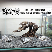 Moss tree finished Thai branches rhododendron roots spliced ​​dead wood Brazilian tree Moss tree fish tank landscaping custom-made welcoming pine
