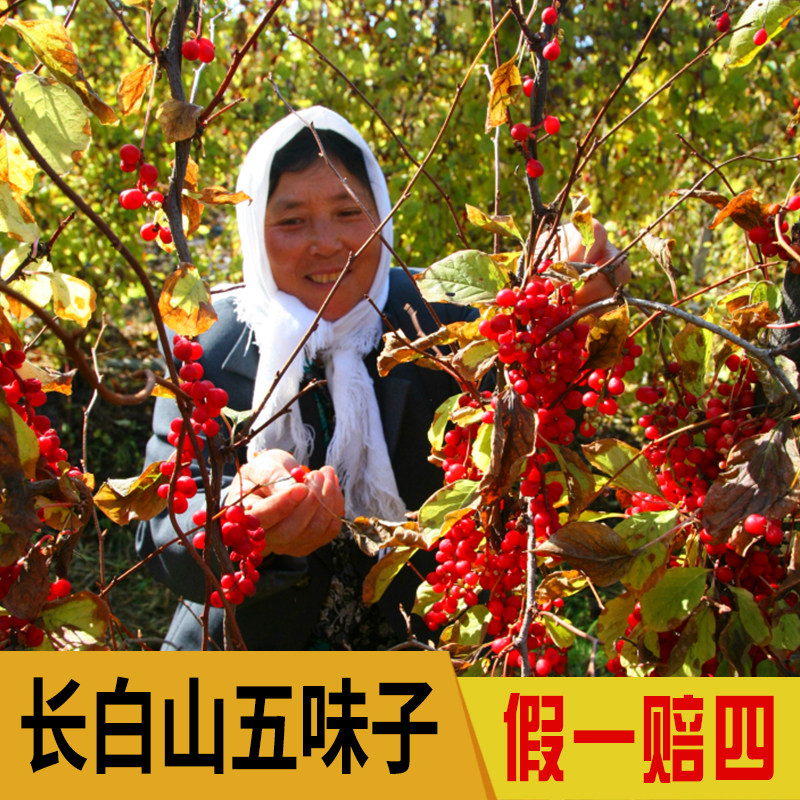 Northeast Changbai Mountain, sulfur-free, unstained, soaked in water, super-selected fresh goods 250g wine, tea oil seeds, northern schisandra