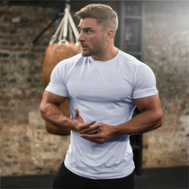 Fitness short-sleeved mens T-shirt muscle sports round neck tights summer stretch clothes training suit custom pattern