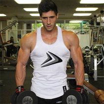 Muscle Fitness Brothers Workvest Dry Dry Men Color Sports Training Handle Running Strip