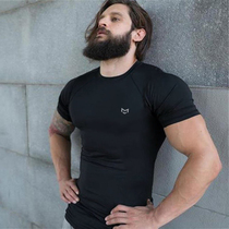 Muscle SharBrother Fitness Dry Dry Dry Clothes Training Tight-collar Short Sleeve Private Coach Clothes