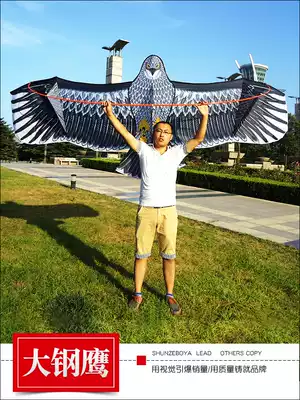 2021 Weifang 2 4m 3 6m Big steel eagle Golden Eagle Brown Eagle Black Eagle Large adult kite line wheel The breeze flies