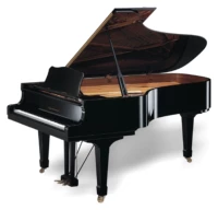 Trường sân khấu piano trong nước mới với mô hình đàn piano lớn mô hình 231 ánh sáng đen roland fp 30