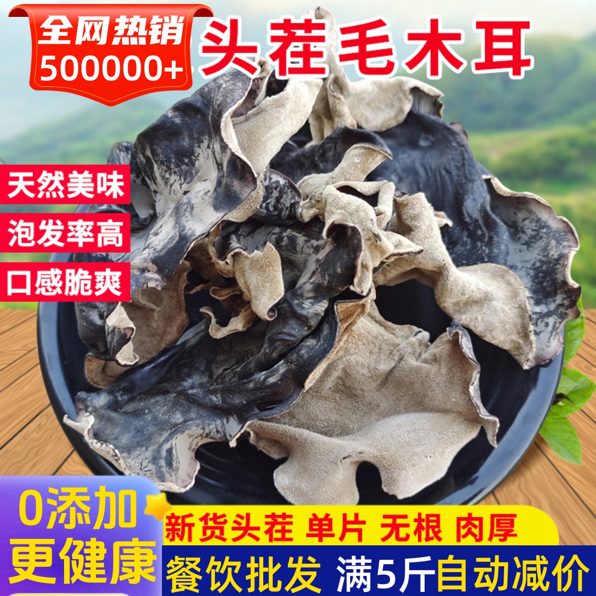 白背毛糸状菌 1作目 高級根無し大バルク乾物500g 送料無料 非特級東北黒菌