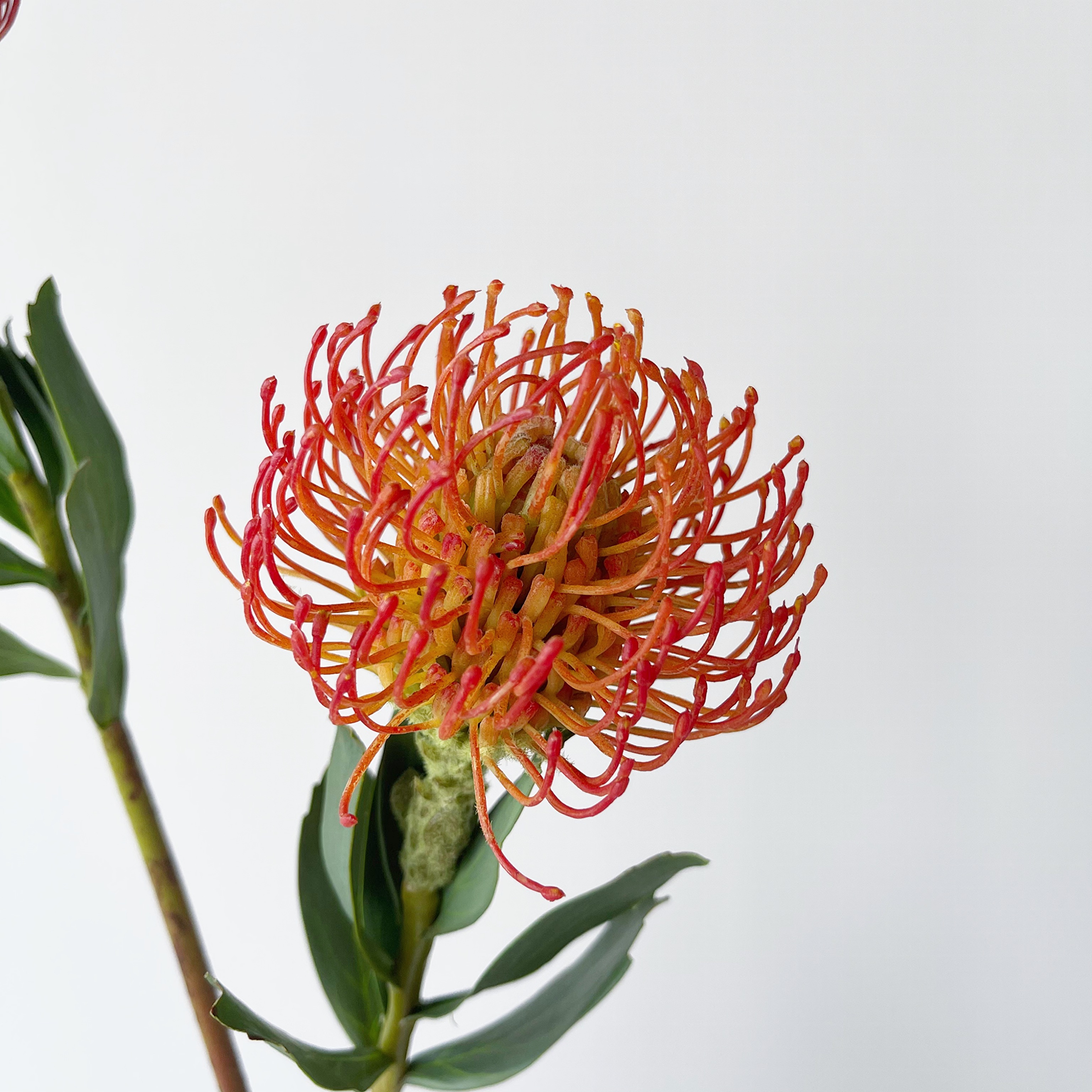 JUNJUN simulation flower needle pad single high-quality 3d glue-like simulation flower material designer model room decoration