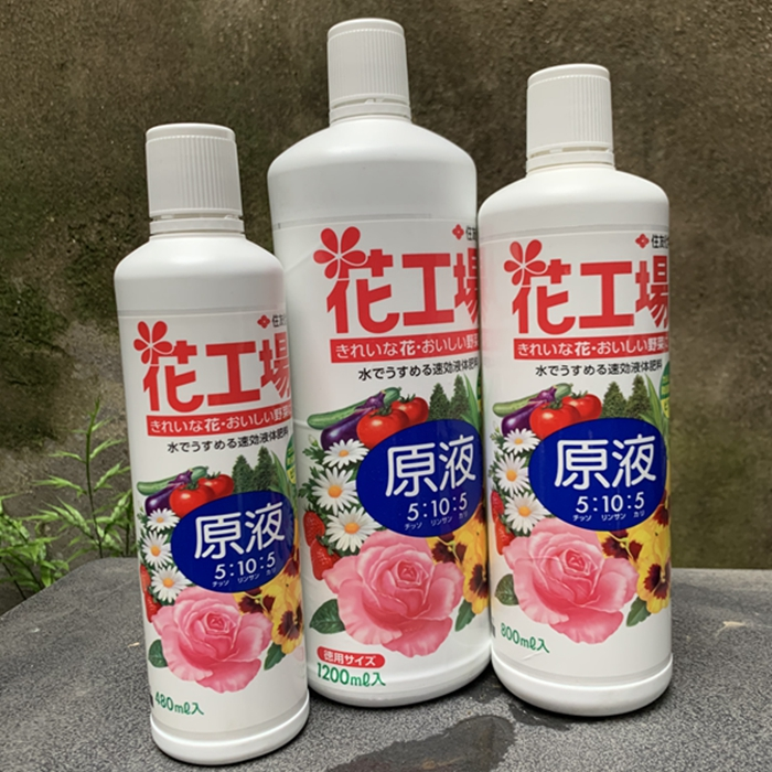日本花工场花卉液肥水肥月季铁线莲绣球促花苞花色肥美高磷液体肥