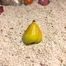 Resident crab replacement shell hand custom small yellow duck pear bean spiral shell home decoration gift