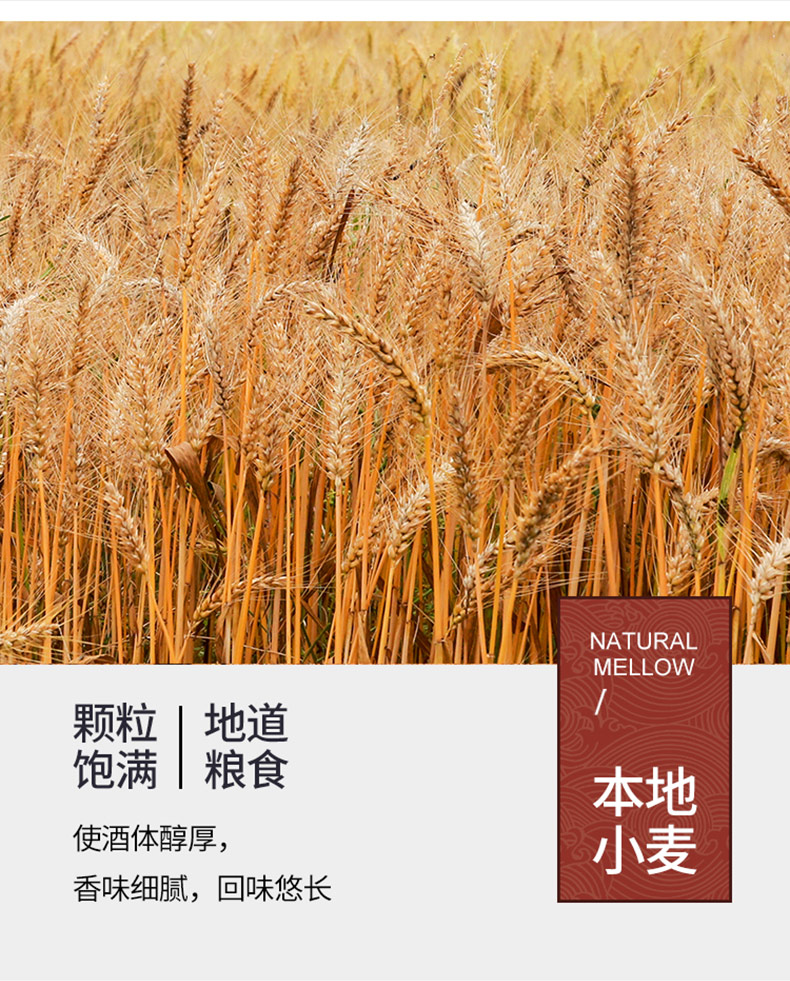 贵州茅台旗下 白金酒 53度酱香型老酱白酒 500ml*6瓶礼盒装 图5