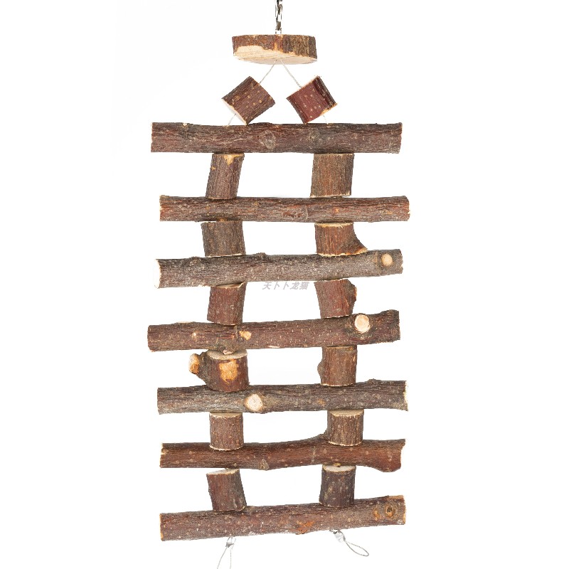 Dragon cat grinding tooth string fruit wood branches day heat abrasion resistant apple wood apple branches grinding tooth supplies dragon cat cage decoration hanging decoration
