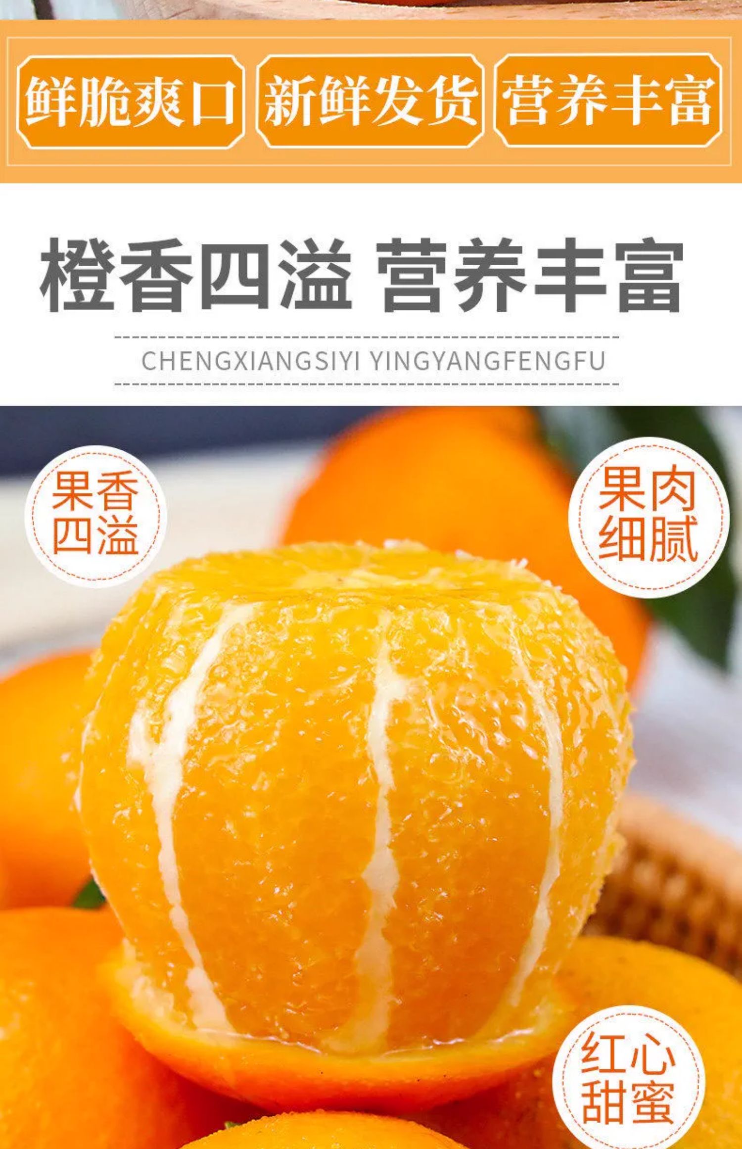 O1CN01cyrPY21drs5bed4Pp_!!3534803790.jpg