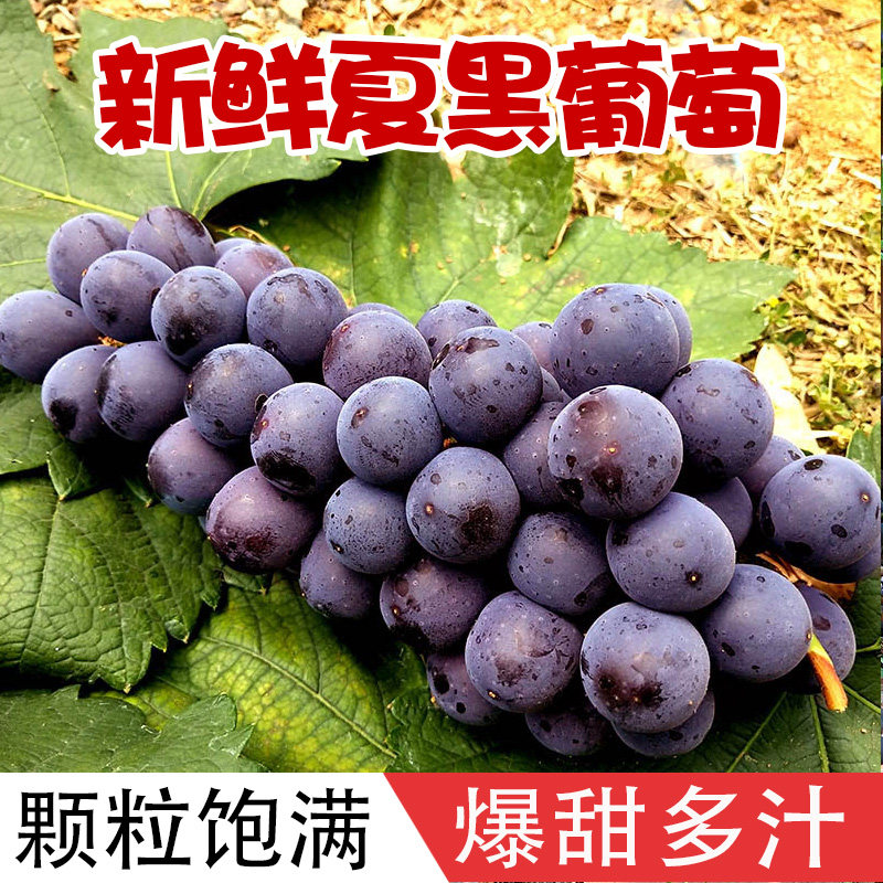 Summer black grapes fresh seasonal fruits seedless blackcurrant pickles whole box of 5 kg net 4 kg of seasonal pregnant women's fruits
