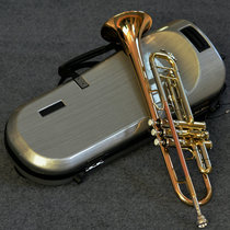 Taiwan OEM ATESEN ATESEN Atson 101 series Drop B trumpet instrument beginner family teaching adult children