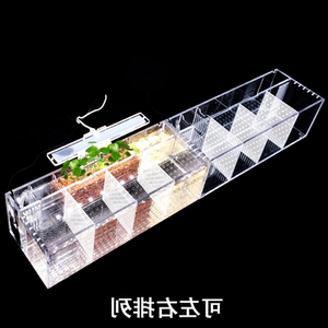 【斗鱼缸图片】斗鱼缸图片大全