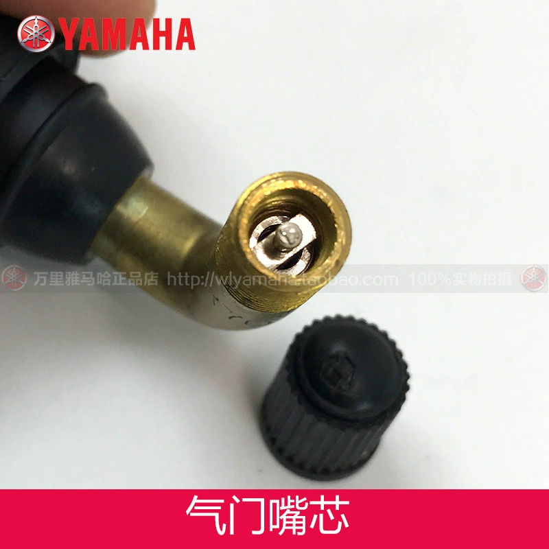 Yamaha Nhanh Eagle Qiaoge Lingying Liying Shangling Bánh Xe Phía Trước Mang 6301 6201 Mang Ban Đầu