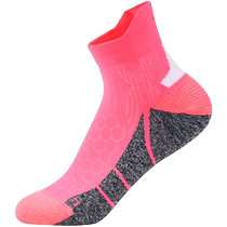 特步专业竞速驳速袜官方24新款运动女袜毛圈马拉松跑步短袜