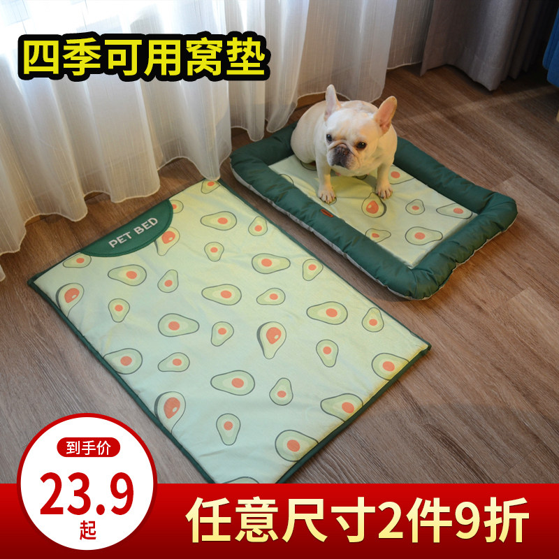 cat sleeps in dog crate