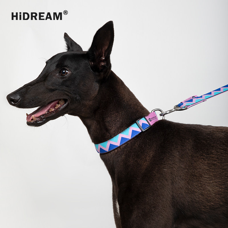 HiDREAM) rainbow series collar fashion comfortable and safe small, medium and large dogs pet leash dog