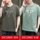 20C2800 темно -серый+серый зеленый