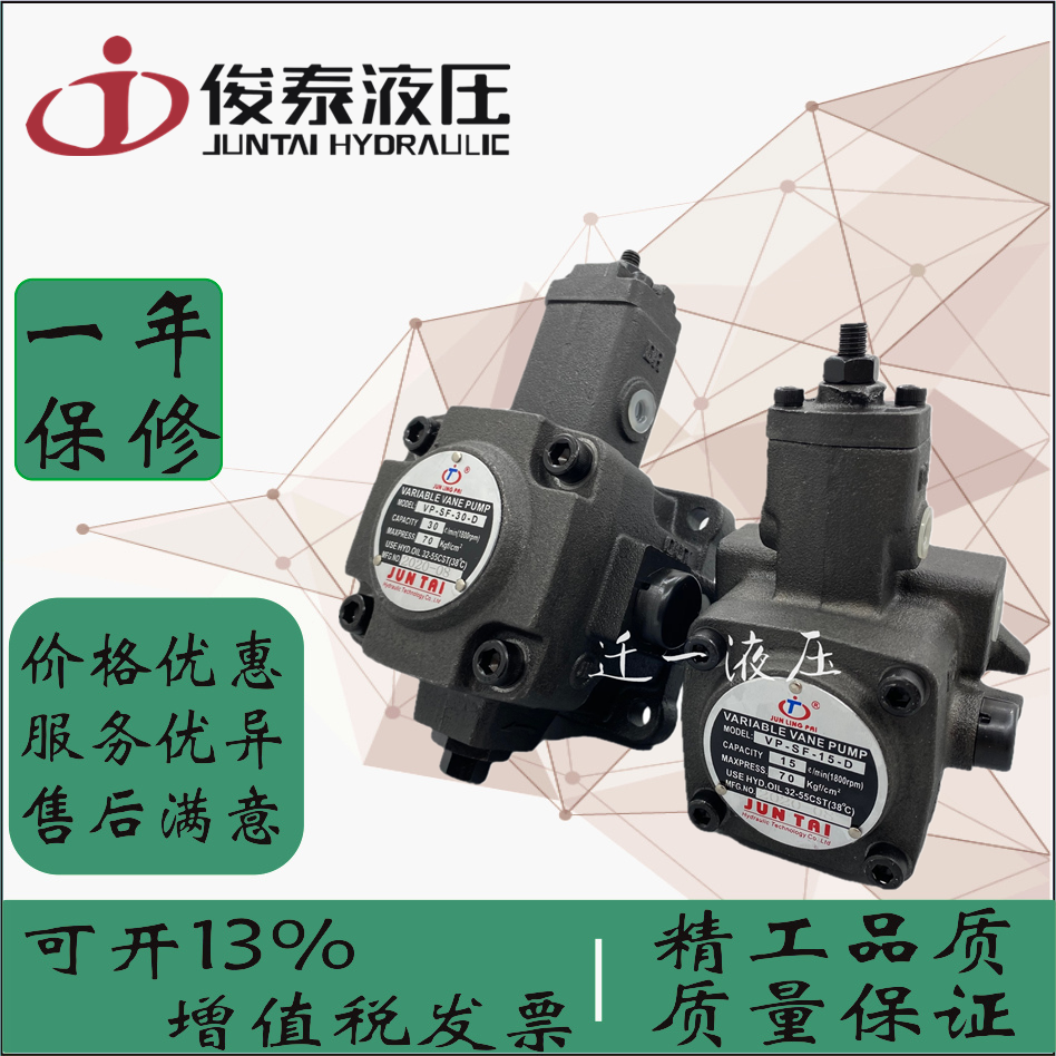 Juntai Oil Pump JUNTAI Blade Pump VP-SF-20-D VP-SF-12 15-D VP-SF-30 40-D
