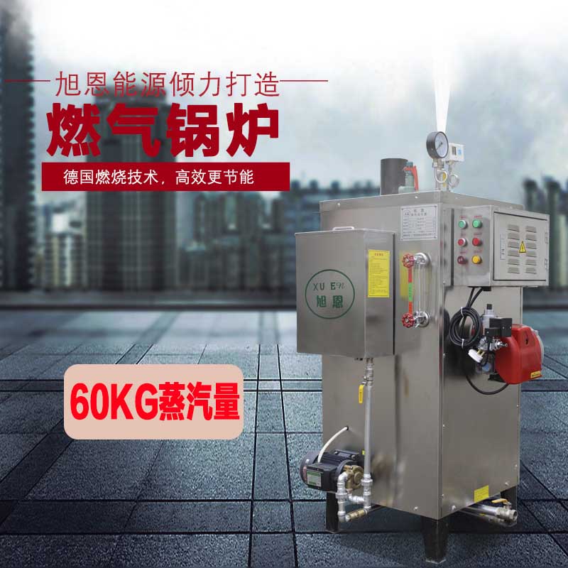 Xuen 60KG gas steam generator industrial bridge maintenance medical disinfection gas steam boiler commercial