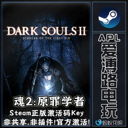 Steam Genuine Dark Souls Ii: Scholar of the First Sin Hong Kong Region Activation Code Cdkey