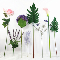  Simple interior decoration simulation floral decoration Pink purple green with flowers and plants Hydrangea rose Clematis