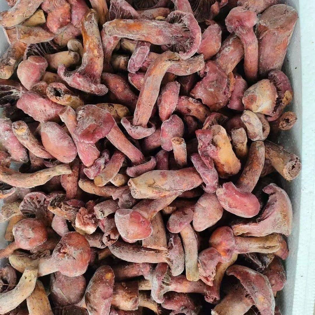 Northeastern Quick-Frozen Pine Mushroom, Fresh Frozen Meat Mushroom, Frozen Red Mushroom, Hotel Direct Supply, Premium Diced Wild Mushrooms