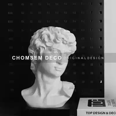 Nordic model room light luxury creative figure David sculpture head home living room artwork soft decoration