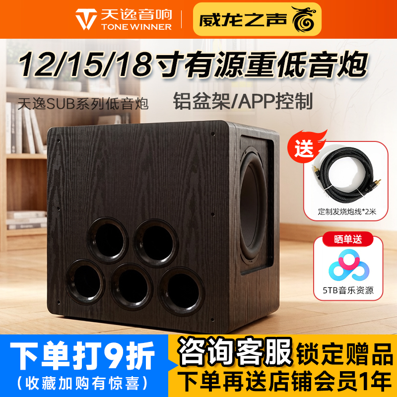 Winner Sub-2000/4000/6000/8000 High-Power Professional Active Subwoofer with Amplifier