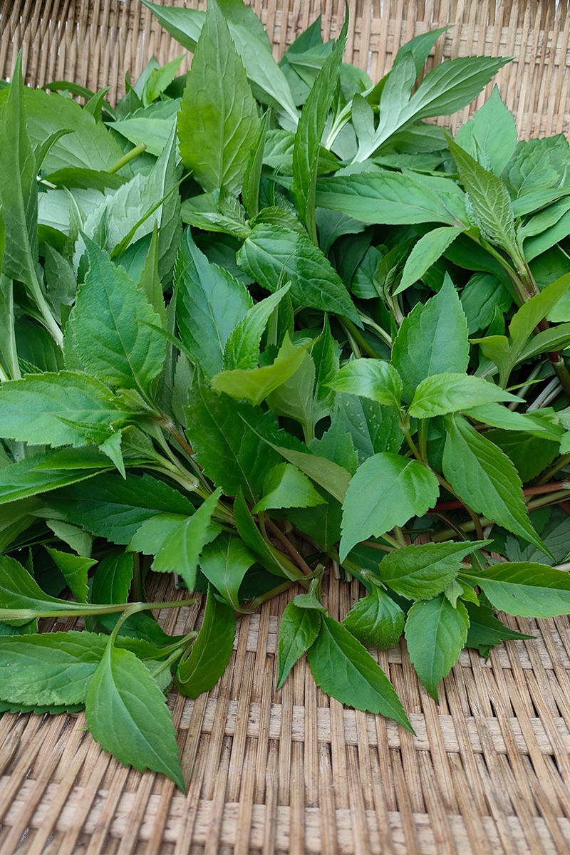 Edible agricultural products in mountainous areas of Chongqing