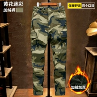 Huanghua и Velvet 4 брюки брюки