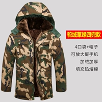 Верблюд, трава зеленые четыре кармана