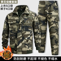 Добавить бархатный набор желтых цветов (Арктический бархат)