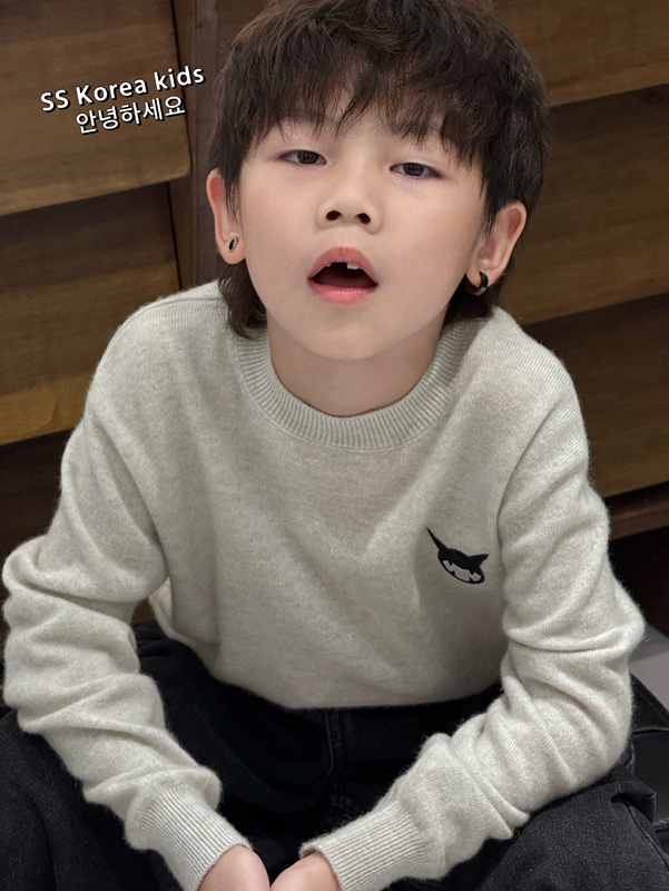 High-End Korean Imported Wool Yarn Children's Woolen Sweater 2026 New Stylish Boys' Autumn and Winter Clothing Sweater for Girls