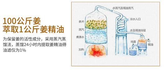 Margarita bảo vệ tinh dầu gừng tinh dầu chính hãng tinh khiết massage chăm sóc tóc để cải thiện dầu chân lông bàn chân - Tinh dầu điều trị tinh dầu hoa hồng