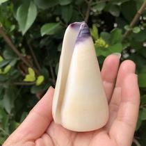 Girl Cono natural conch shell specimen snail vase Taro brocade Taro fish tank landscaping aquarium decorative ornaments