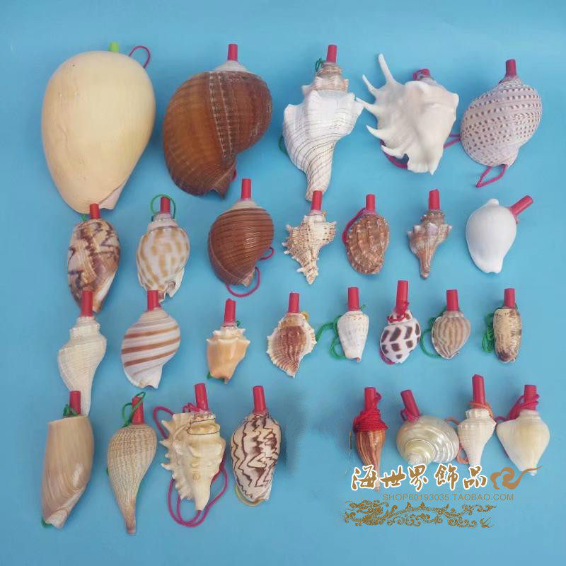 Natural Conch Shell Super Large Conch Whistle Craft Gift Decoration Creative Gift Children's Toy Stall Night Market