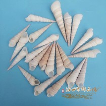 Natural shell conch nail cone snail fish tank Aquarium landscaping DYI jewelry shooting props Crafts handmade white