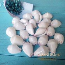 Natural conch shell purple small white jade rabbit snail coral aquarium aquarium decorative specimen collection diy handmade rare