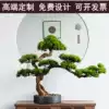 Living room solid wood simulation welcome pine hotel desktop entrance Green plants fake pine Arhat pine bonsai decorative decoration