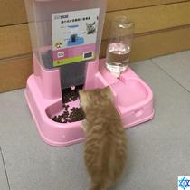 Cat supplies cat cat food bowl of double bowl of automatic