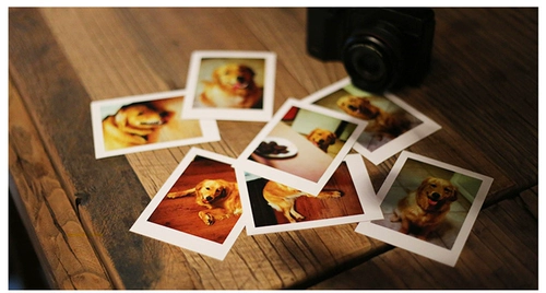 Polaroid, фотография, биде, мобильный телефон, бумажник, 3 дюймов, 5 дюймов, 6 дюймов