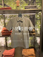 Футболка мужская zegna 杰尼亚 春夏新款 男士zz系