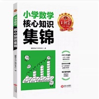 王朝霞核心知识集锦数学基础知识大盘点初中衔接教材一二三四五六年级小学知识大全手册人教版考试总复习小升初大集结考点初中衔接