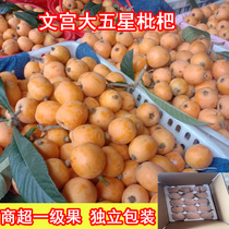 Sichuan Moon Palace Grand 5 Stars Sweet Loquat When Season Fresh Беременная Женщина Фруктов Свежий Конвейер Теперь У Всего Ящика