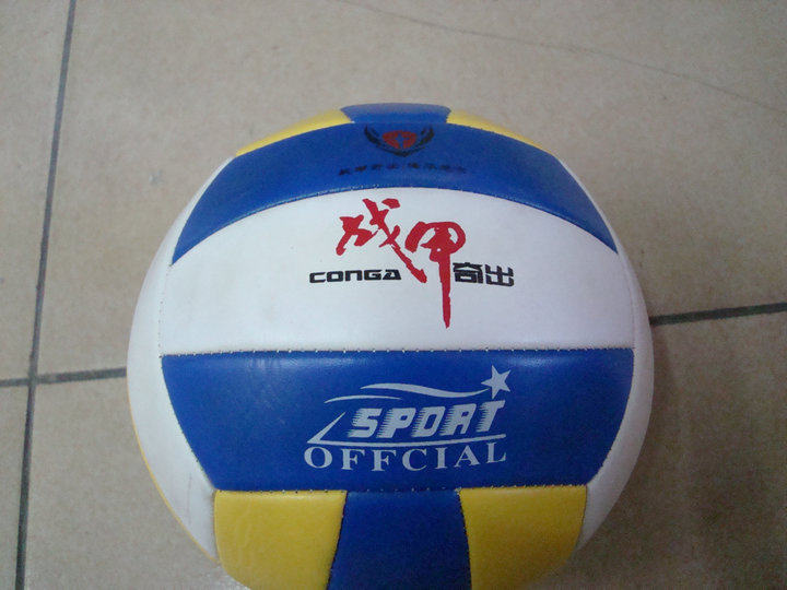Ballon de volley-ball - Ref 2011477 Image 9